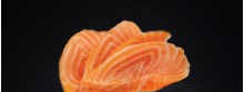 SASHIMI